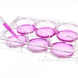 6孔细胞培养板TC处理灭菌吸塑独立盒装