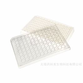 96孔白框透底细胞培养板TC处理灭菌