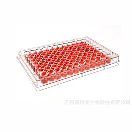 96孔细胞培养板TC处理灭菌吸塑独立盒装