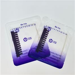 Ueasy® Bis-Tris预制凝胶