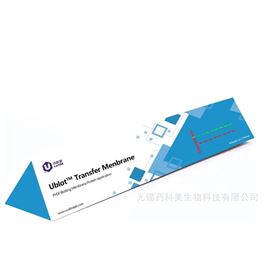 U-Blot® PVDF 印迹膜（0.2 μm）