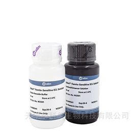 U-Blot® 超敏ECL化学发光液（pg级别）