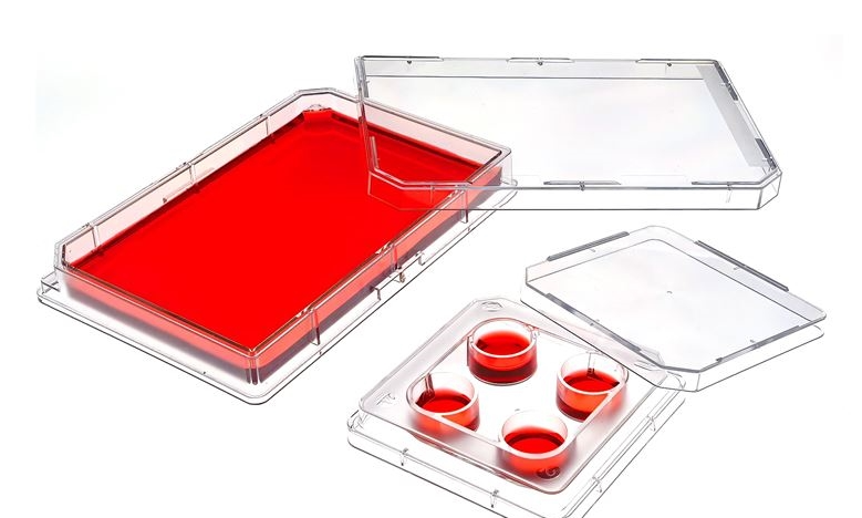多孔细胞培养板：生命科学研究的关键工具