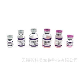 Ucell® Matrix Matrix类器官专用基质胶