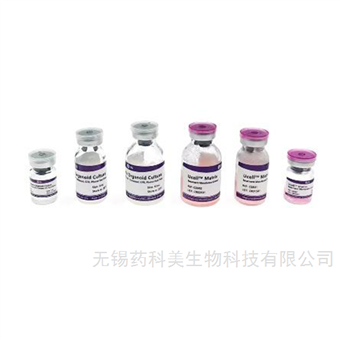 C2840Ucell® Matrix Matrix类器官专用基质胶